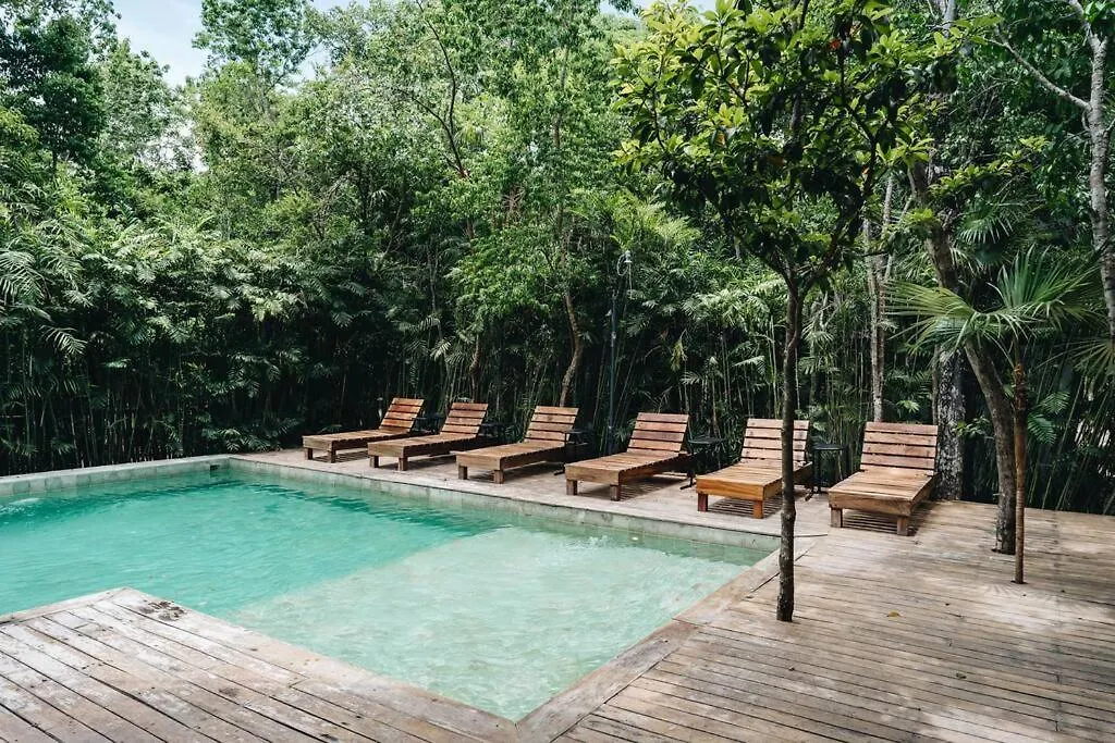Villa Luxury Villa, 4 Pools - Beach Club - Nocturna Sahara Tulum